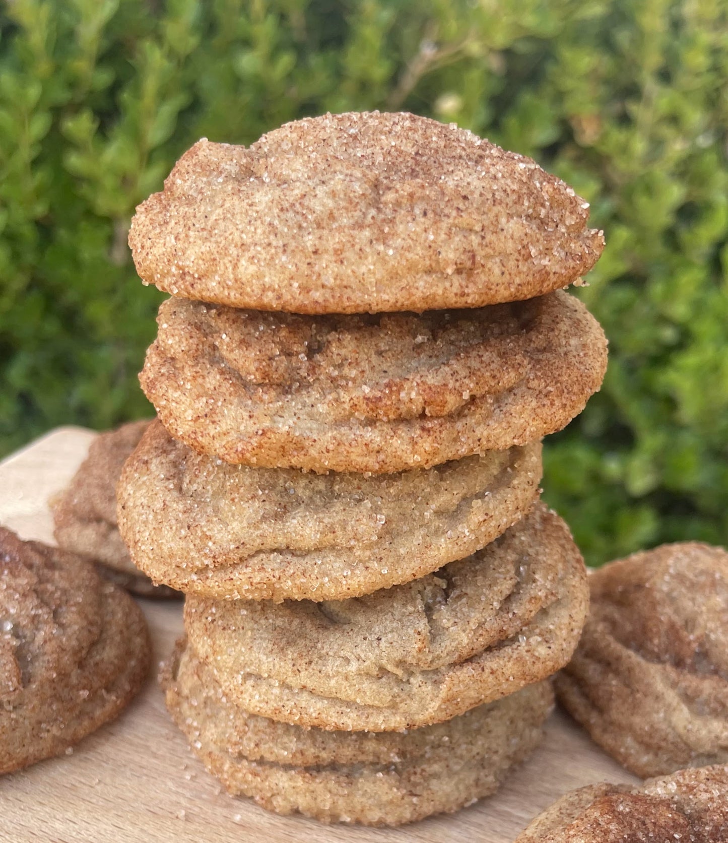 Snickerdoodle Cookies
